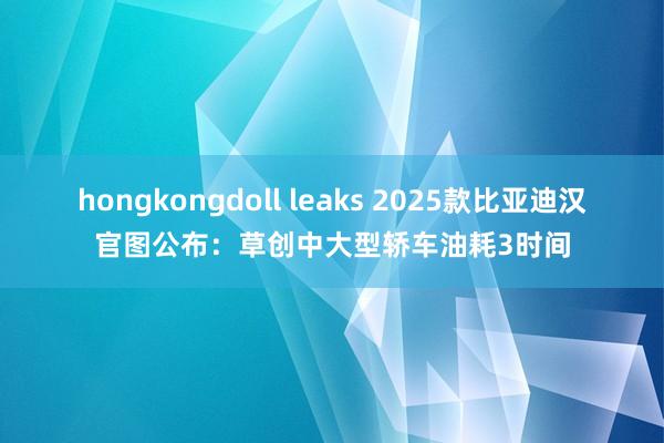 hongkongdoll leaks 2025款比亚迪汉官图公布：草创中大型轿车油耗3时间