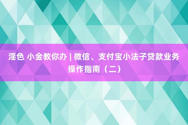 淫色 小金教你办 | 微信、支付宝小法子贷款业务操作指南（二）