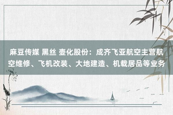 麻豆传媒 黑丝 壶化股份：成齐飞亚航空主营航空维修、飞机改装、大地建造、机载居品等业务