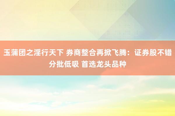 玉蒲团之淫行天下 券商整合再掀飞腾：证券股不错分批低吸 首选龙头品种