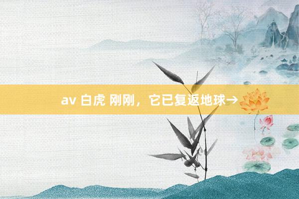 av 白虎 刚刚，它已复返地球→