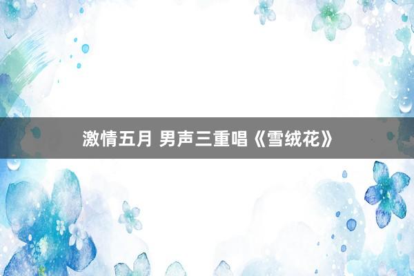 激情五月 男声三重唱《雪绒花》