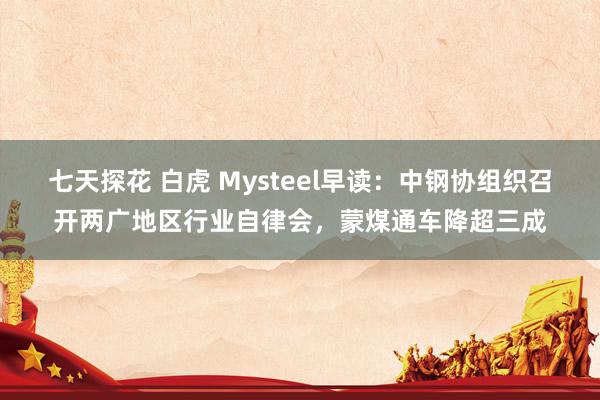 七天探花 白虎 Mysteel早读：中钢协组织召开两广地区行业自律会，蒙煤通车降超三成