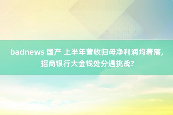 badnews 国产 上半年营收归母净利润均着落, 招商银行大金钱处分遇挑战?