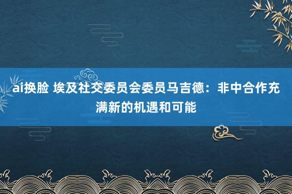 ai换脸 埃及社交委员会委员马吉德：非中合作充满新的机遇和可能