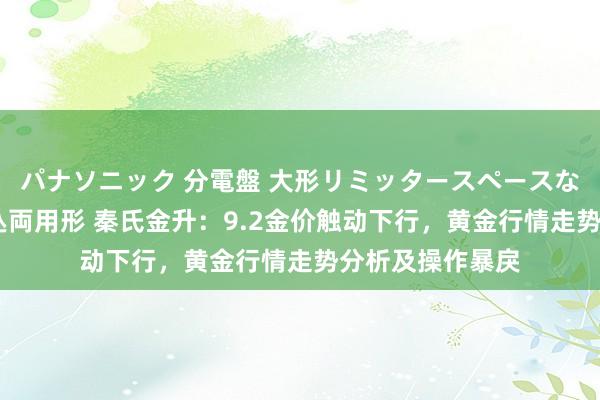 パナソニック 分電盤 大形リミッタースペースなし 露出・半埋込両用形 秦氏金升：9.2金价触动下行，黄金行情走势分析及操作暴戾