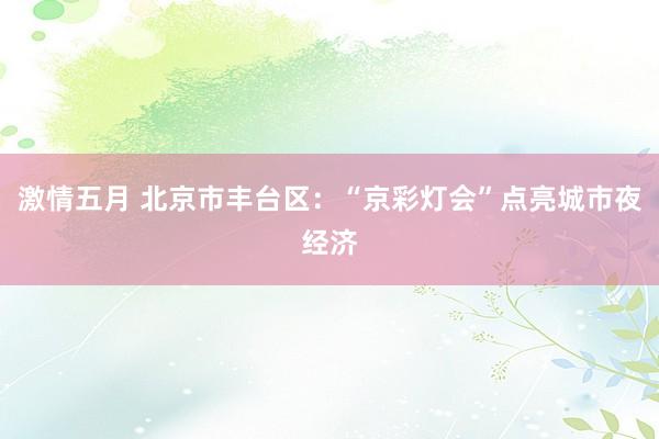 激情五月 北京市丰台区：“京彩灯会”点亮城市夜经济