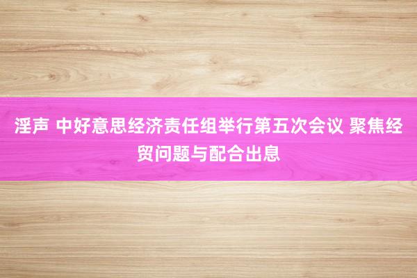 淫声 中好意思经济责任组举行第五次会议 聚焦经贸问题与配合出息