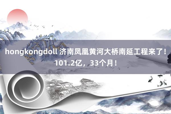 hongkongdoll 济南凤凰黄河大桥南延工程来了！101.2亿，33个月！