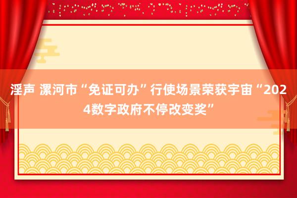 淫声 漯河市“免证可办”行使场景荣获宇宙“2024数字政府不停改变奖”