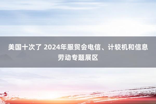 美国十次了 2024年服贸会电信、计较机和信息劳动专题展区