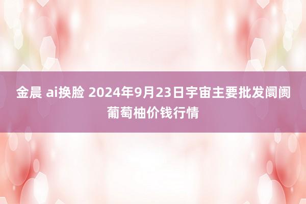 金晨 ai换脸 2024年9月23日宇宙主要批发阛阓葡萄柚价钱行情