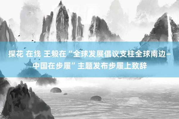 探花 在线 王毅在“全球发展倡议支柱全球南边—中国在步履”主题发布步履上致辞