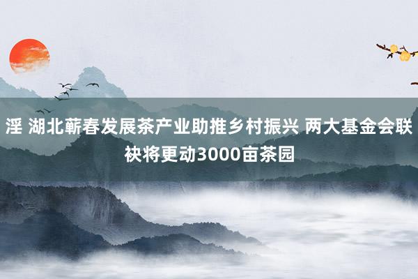 淫 湖北蕲春发展茶产业助推乡村振兴 两大基金会联袂将更动3000亩茶园