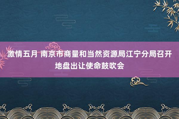 激情五月 南京市商量和当然资源局江宁分局召开地盘出让使命鼓吹会