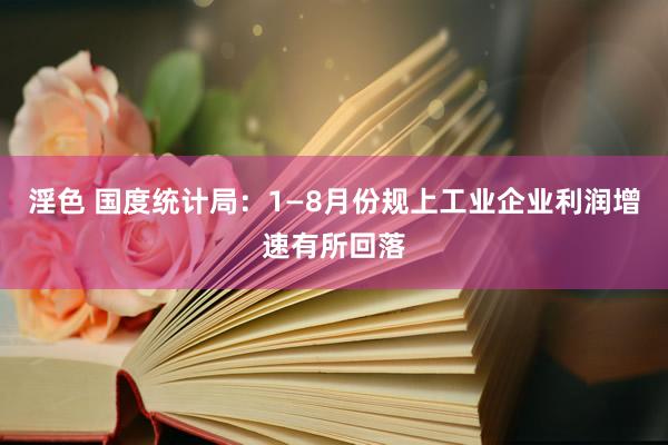 淫色 国度统计局：1—8月份规上工业企业利润增速有所回落