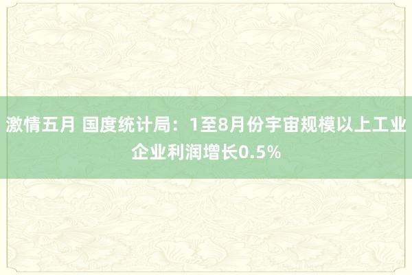 激情五月 国度统计局：1至8月份宇宙规模以上工业企业利润增长0.5%