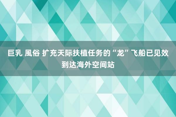 巨乳 風俗 扩充天际扶植任务的“龙”飞船已见效到达海外空间站