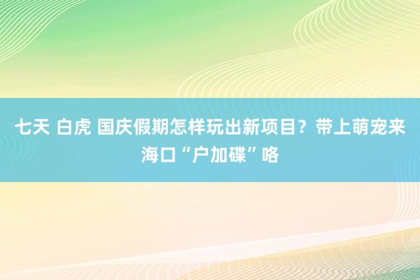 七天 白虎 国庆假期怎样玩出新项目？带上萌宠来海口“户加碟”咯