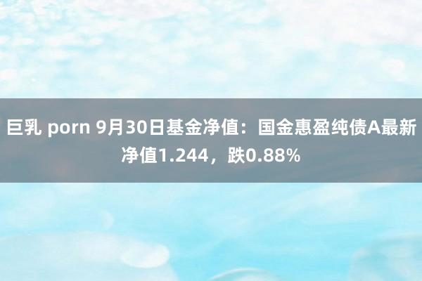 巨乳 porn 9月30日基金净值：国金惠盈纯债A最新净值1.244，跌0.88%