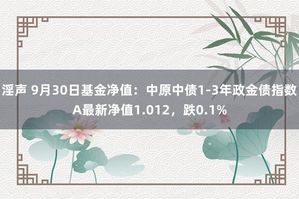 淫声 9月30日基金净值：中原中债1-3年政金债指数A最新净值1.012，跌0.1%