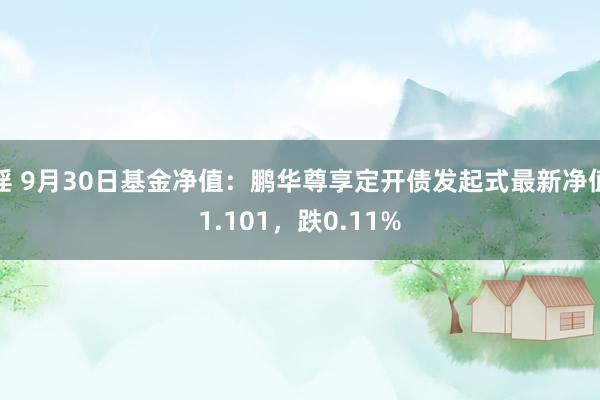 淫 9月30日基金净值：鹏华尊享定开债发起式最新净值1.101，跌0.11%