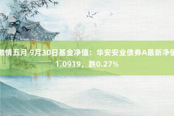 激情五月 9月30日基金净值：华安安业债券A最新净值1.0919，跌0.27%