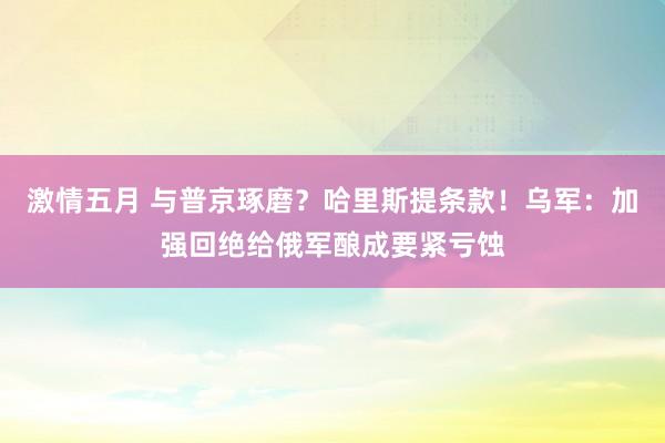 激情五月 与普京琢磨？哈里斯提条款！乌军：加强回绝给俄军酿成要紧亏蚀