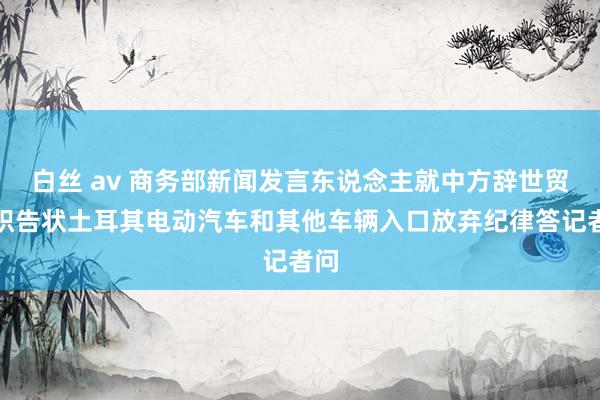 白丝 av 商务部新闻发言东说念主就中方辞世贸组织告状土耳其电动汽车和其他车辆入口放弃纪律答记者问