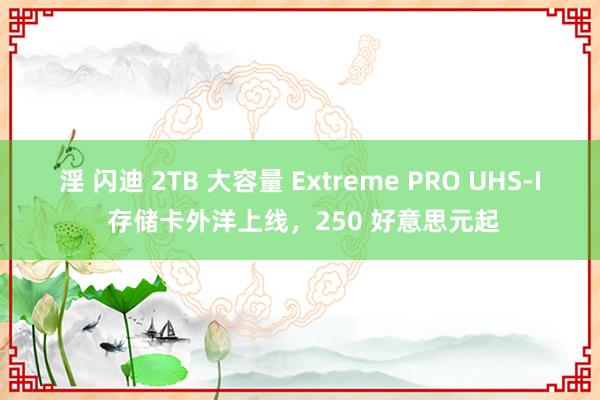 淫 闪迪 2TB 大容量 Extreme PRO UHS-I 存储卡外洋上线，250 好意思元起