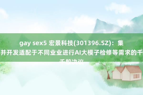 gay sex5 宏景科技(301396.SZ)：集成开发并开发适配于不同业业进行AI大模子检修等需求的千般决议