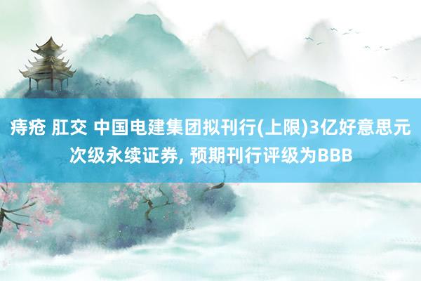 痔疮 肛交 中国电建集团拟刊行(上限)3亿好意思元次级永续证券, 预期刊行评级为BBB