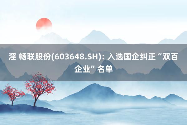 淫 畅联股份(603648.SH): 入选国企纠正“双百企业”名单