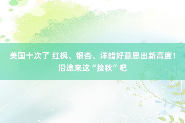 美国十次了 红枫、银杏、洋蜡好意思出新高度！沿途来这“捡秋”吧