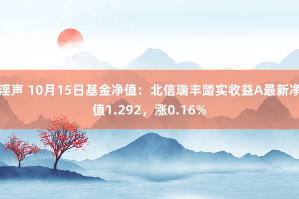 淫声 10月15日基金净值：北信瑞丰踏实收益A最新净值1.292，涨0.16%