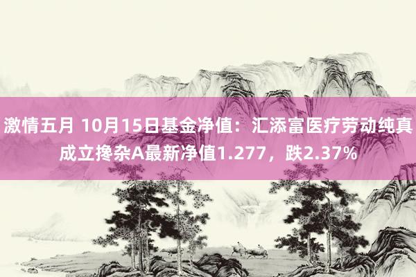 激情五月 10月15日基金净值：汇添富医疗劳动纯真成立搀杂A最新净值1.277，跌2.37%