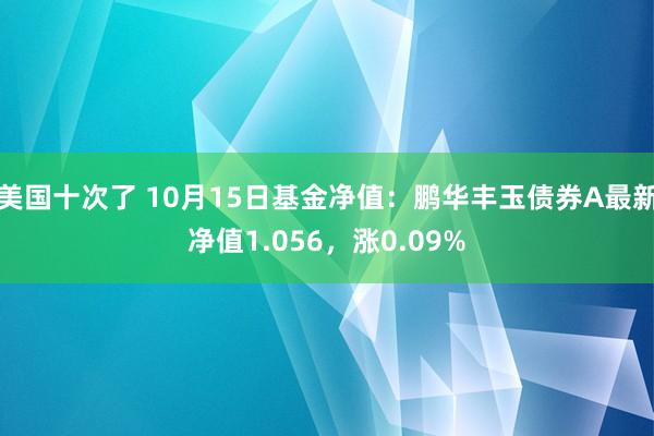 美国十次了 10月15日基金净值：鹏华丰玉债券A最新净值1.056，涨0.09%