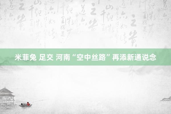 米菲兔 足交 河南“空中丝路”再添新通说念