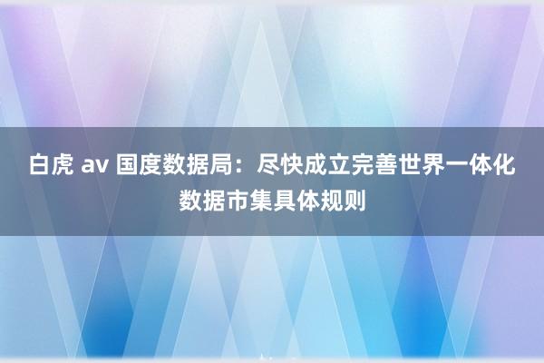 白虎 av 国度数据局：尽快成立完善世界一体化数据市集具体规则