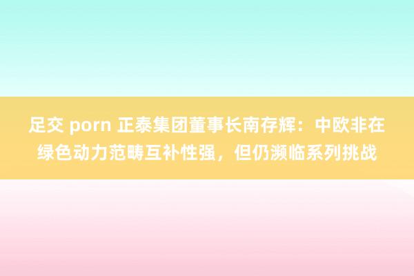 足交 porn 正泰集团董事长南存辉：中欧非在绿色动力范畴互补性强，但仍濒临系列挑战