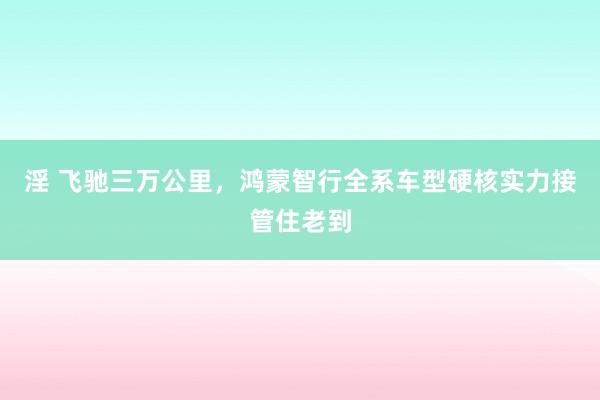 淫 飞驰三万公里，鸿蒙智行全系车型硬核实力接管住老到