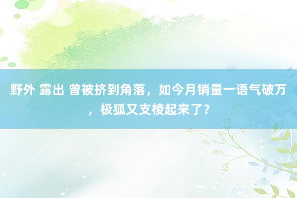 野外 露出 曾被挤到角落，如今月销量一语气破万，极狐又支棱起来了？