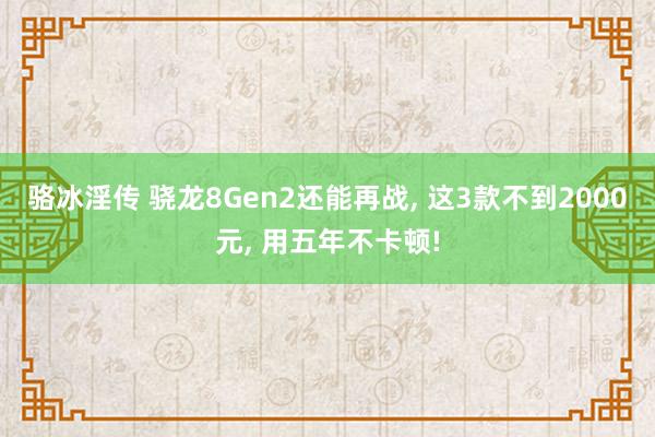 骆冰淫传 骁龙8Gen2还能再战, 这3款不到2000元, 用五年不卡顿!