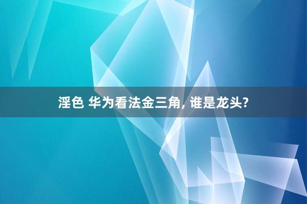 淫色 华为看法金三角, 谁是龙头?