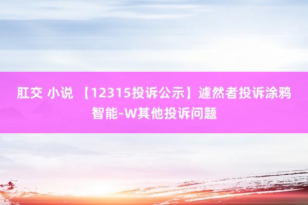 肛交 小说 【12315投诉公示】遽然者投诉涂鸦智能-W其他投诉问题