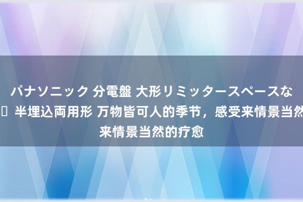 パナソニック 分電盤 大形リミッタースペースなし 露出・半埋込両用形 万物皆可人的季节，感受来情景当然的疗愈