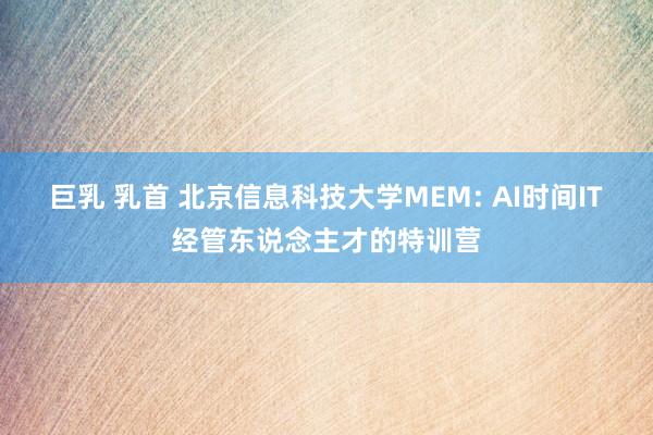 巨乳 乳首 北京信息科技大学MEM: AI时间IT经管东说念主才的特训营