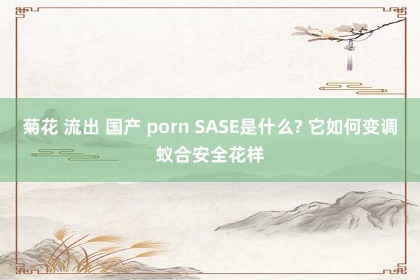 菊花 流出 国产 porn SASE是什么? 它如何变调蚁合安全花样