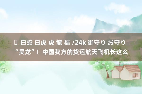 ✨白蛇 白虎 虎 龍 福 /24k 御守り お守り “昊龙”！中国我方的货运航天飞机长这么