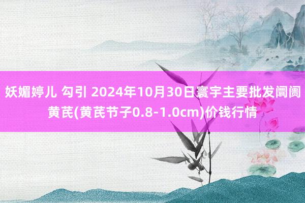 妖媚婷儿 勾引 2024年10月30日寰宇主要批发阛阓黄芪(黄芪节子0.8-1.0cm)价钱行情